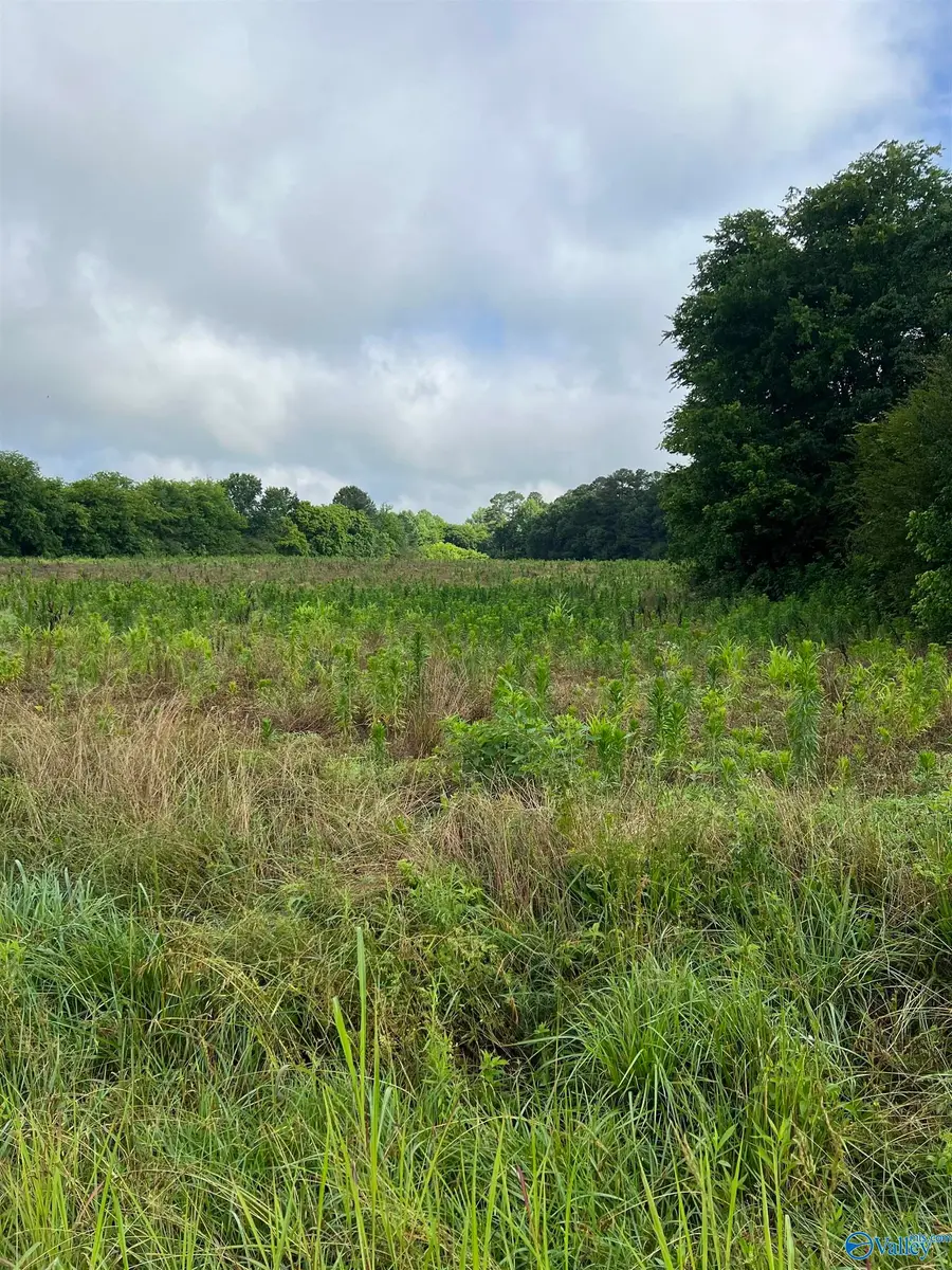275 Highland Drive, Arab, AL 35016 - #3