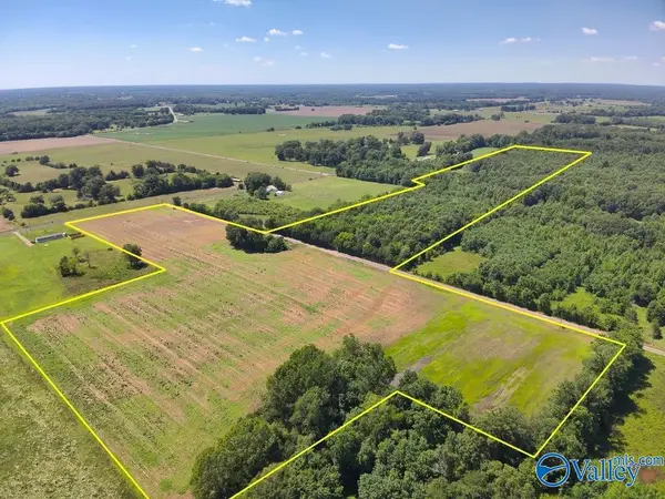 47 Acres Tanner Road, Danville, AL 35619