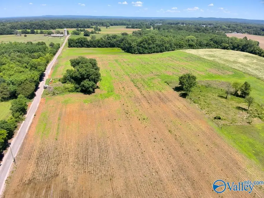 47 Acres Tanner Road, Danville, AL 35619 - #2