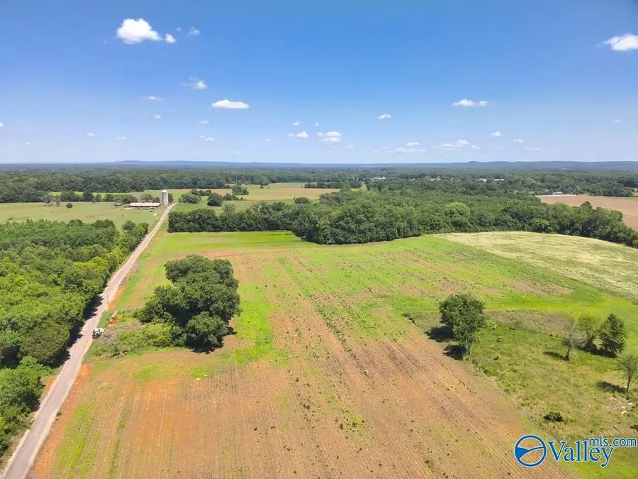 47 Acres Tanner Road, Danville, AL 35619 - #3