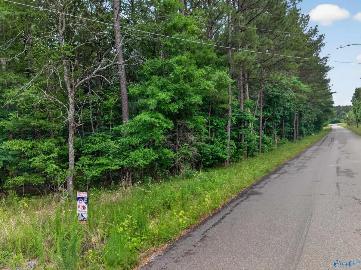 2 lots Christopher Avenue, Southside, AL 35907 - #1