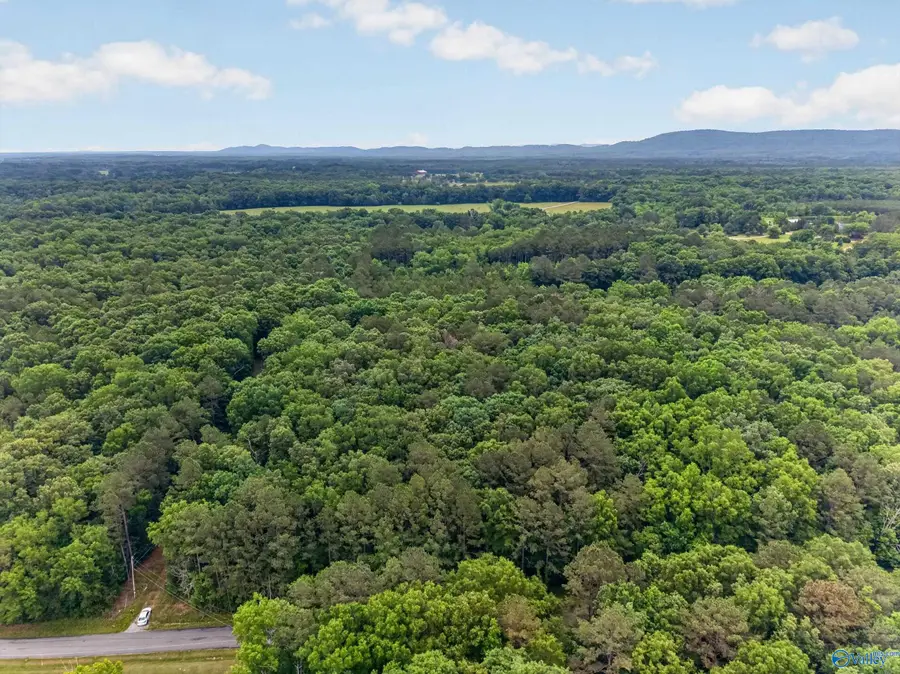 2 lots Christopher Avenue, Southside, AL 35907 - #2