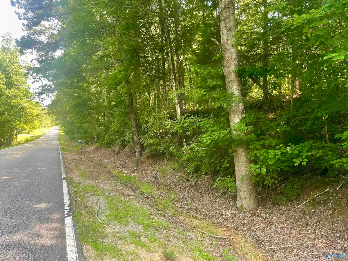 11810 County Road 9, West Blocton, AL 35184 - #1