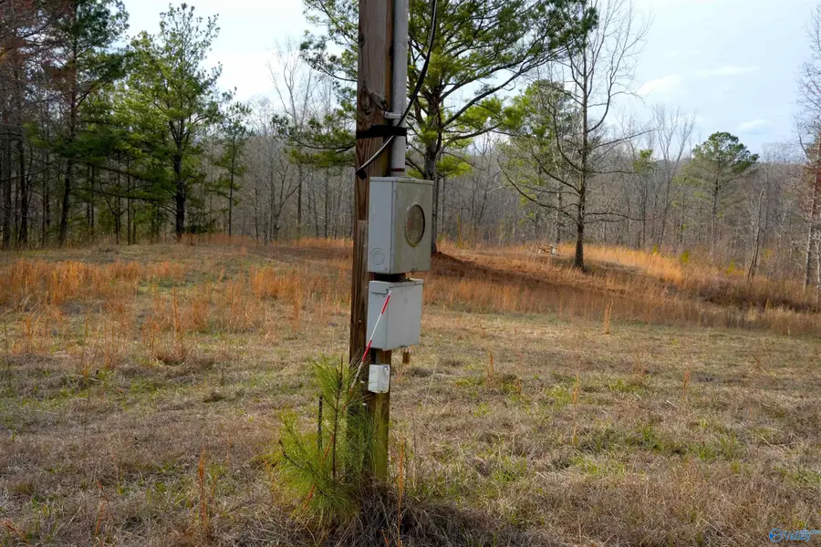 126 Acres, Odenville, AL 35120 - #2
