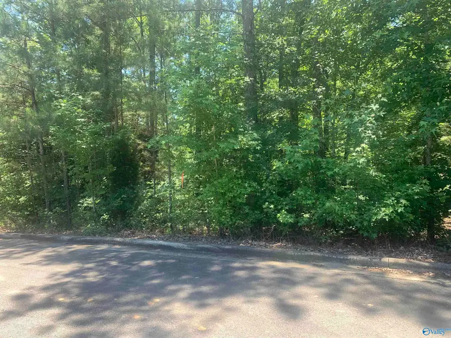 LOT 33 Cade Circle #LOT 33, Leesburg, AL 35983 - #3