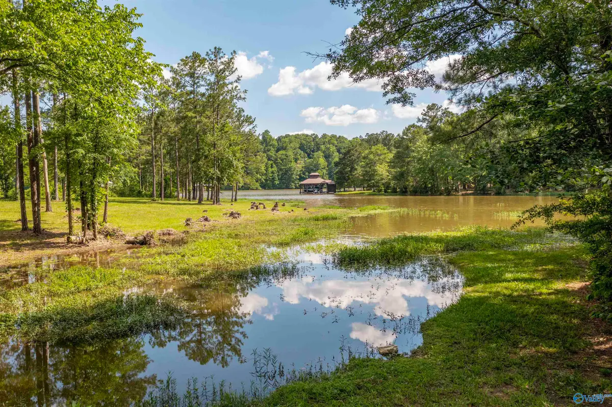 89 Golden Pond Road, Ashville, AL 35953 - #1