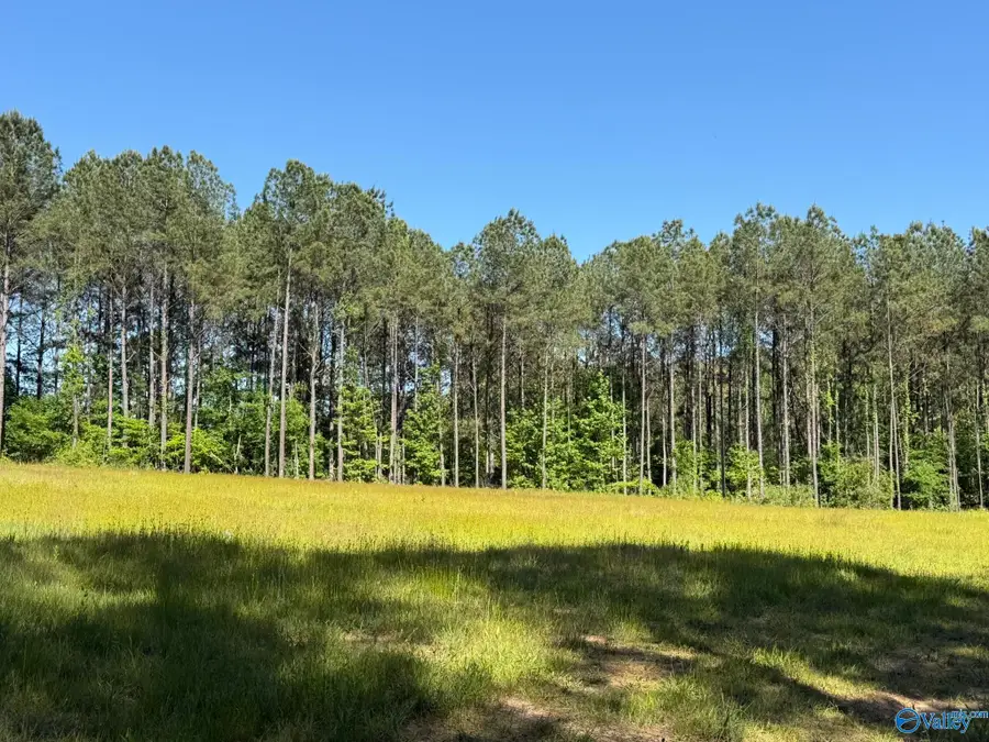 89 Golden Pond Road, Ashville, AL 35953 - #2