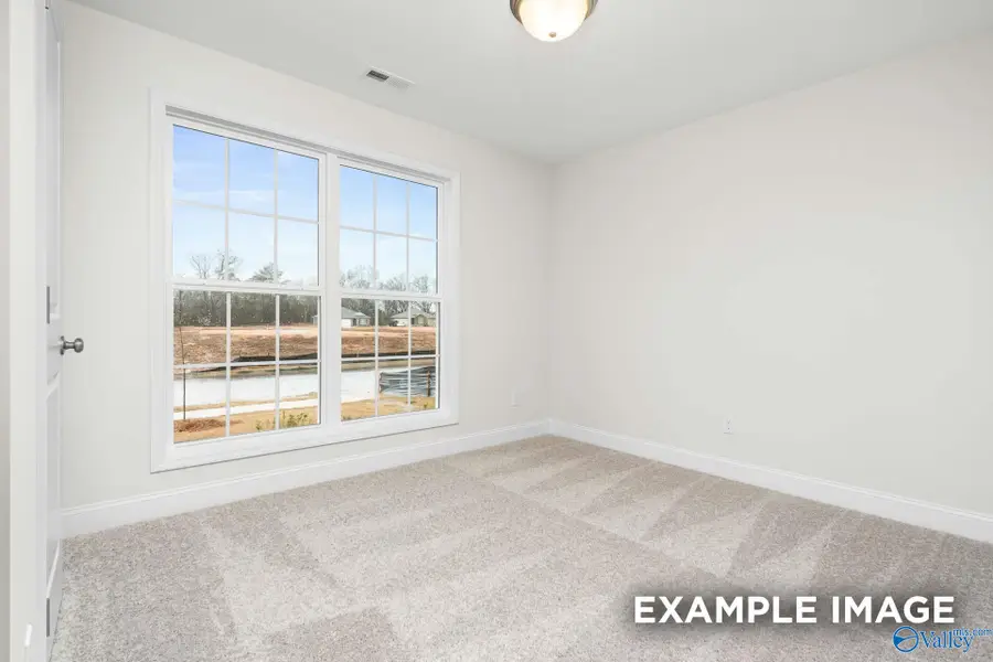 138 Plum Tree Lane, Hazel Green, AL 35750 - #3