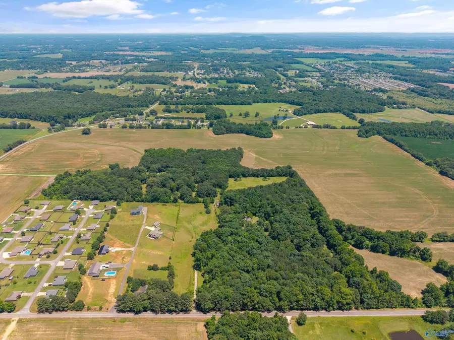 19000 Meadows Road, Athens, AL 35613 - #3