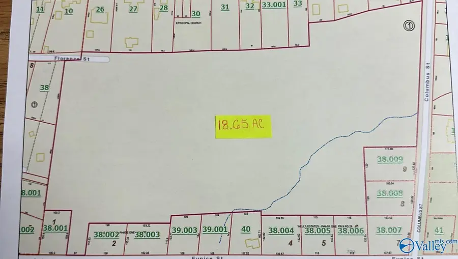 18.65 Columbus Street, Albertville, AL 35950 - #2