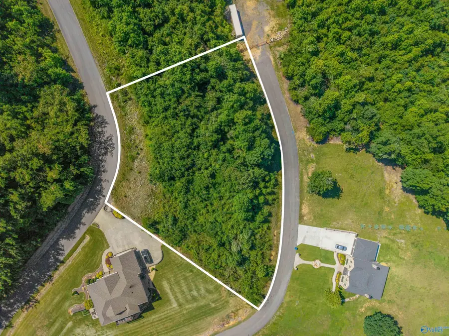 Lot 32 Keene Point Drive, Grant, AL 35747 - #2