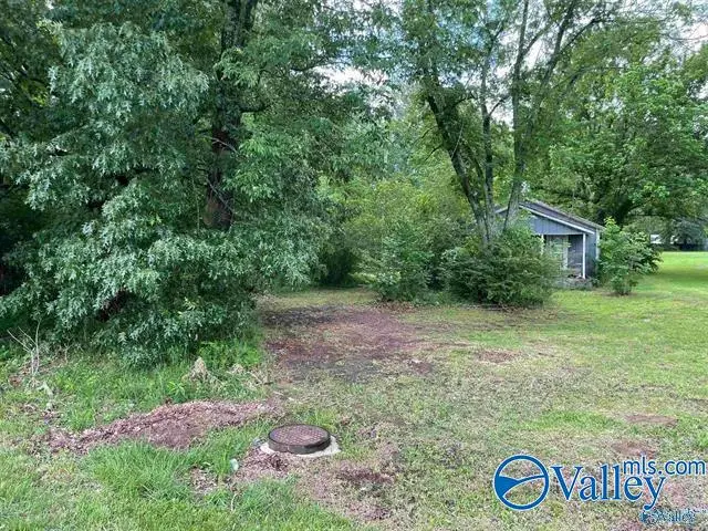 2906 Veterans Drive, Scottsboro, AL 35769 - #1