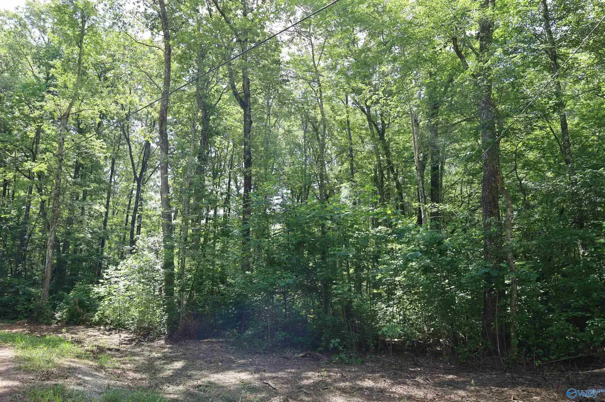 1.47 Acres Libby Lane, Mentone, AL 35984 - #1