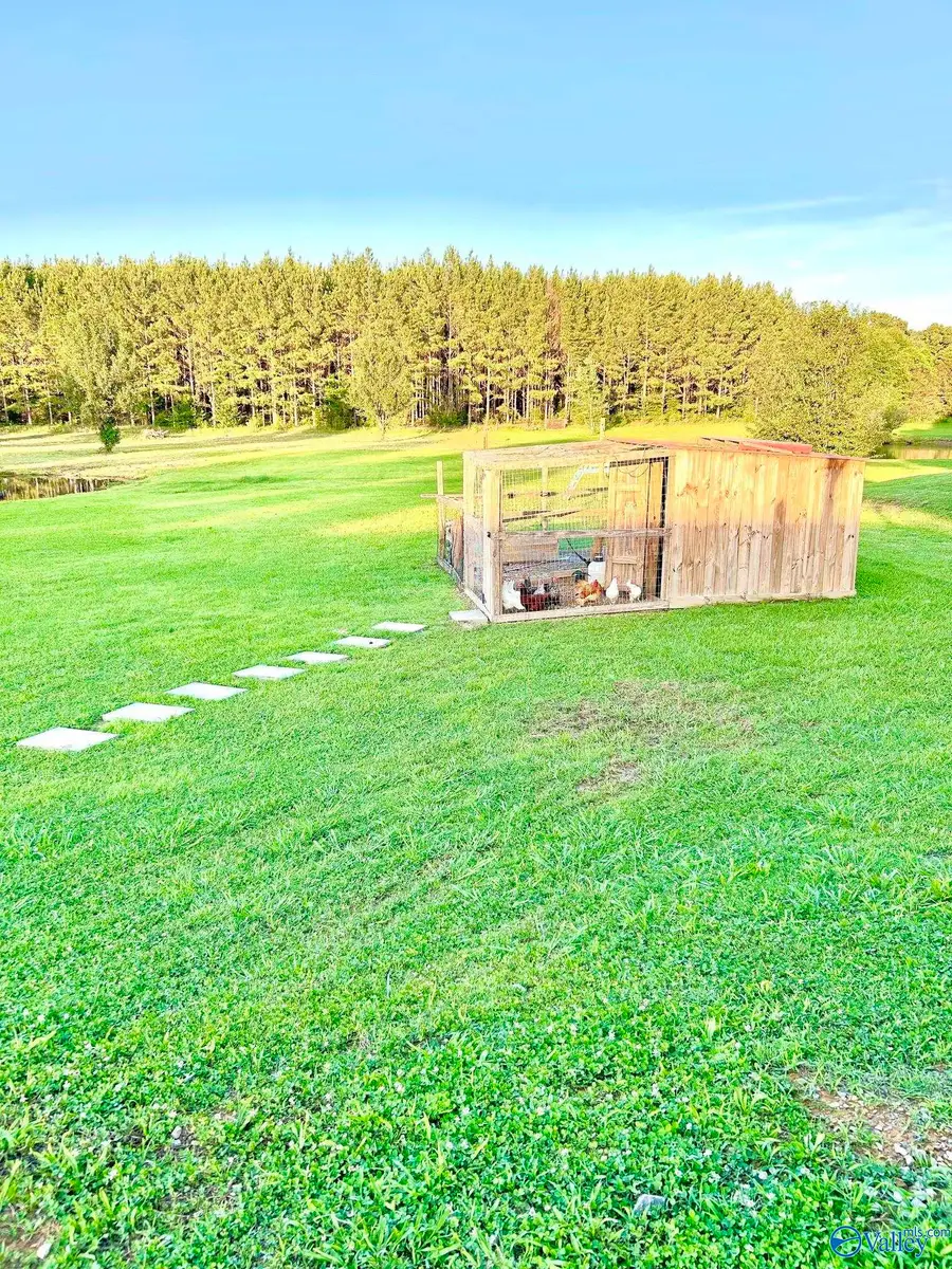 1118 Evergreen Road, Falkville, AL 35622 - #3