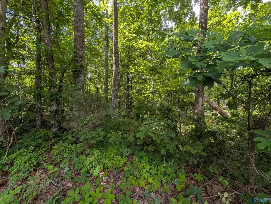 996 Keel Mountain Road, Gurley, AL 35748 - #3