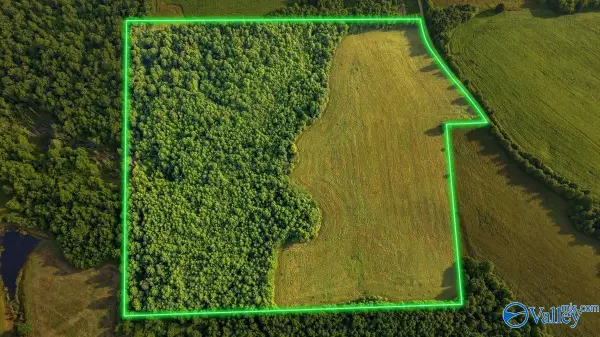 40.84 County Road 668, Henagar, AL 35978