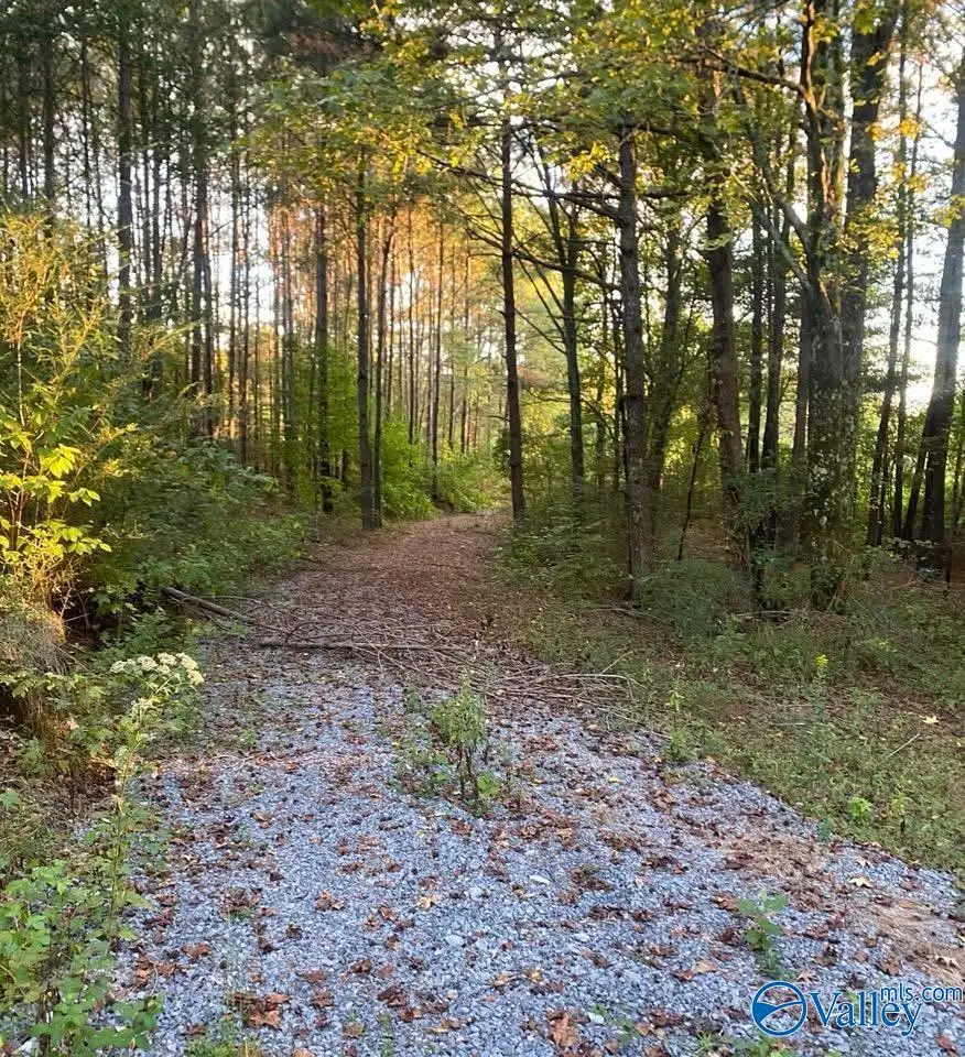 3.7 Acres County Highway 10, Blountsville, AL 35031 - #1