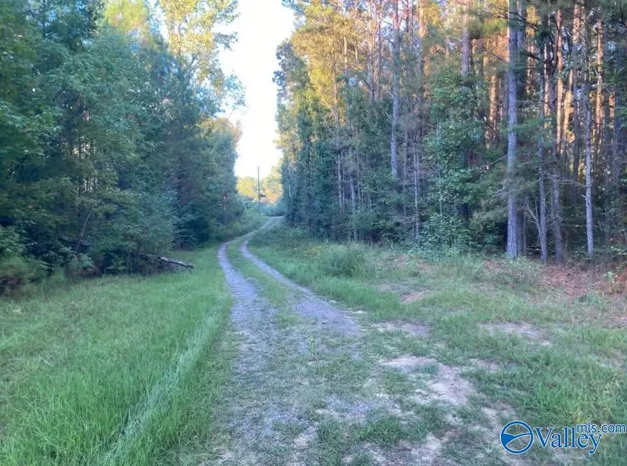 3.7 Acres County Highway 10, Blountsville, AL 35031 - #2
