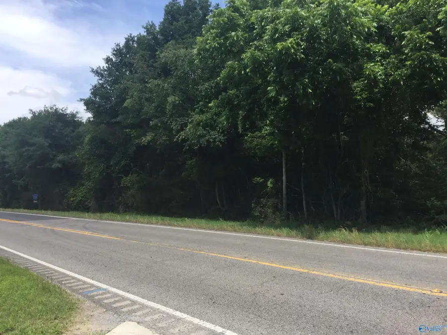 11600 Hwy 69, Baileyton, AL 35019 - #3