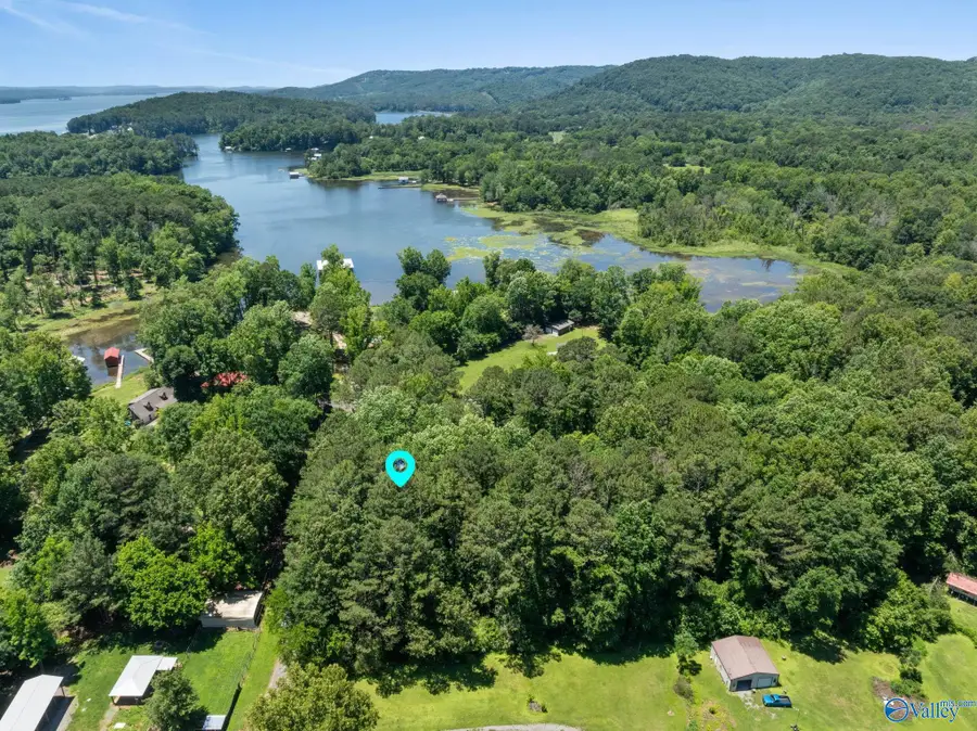 54 Malibu Circle, Scottsboro, AL 35769 - #3