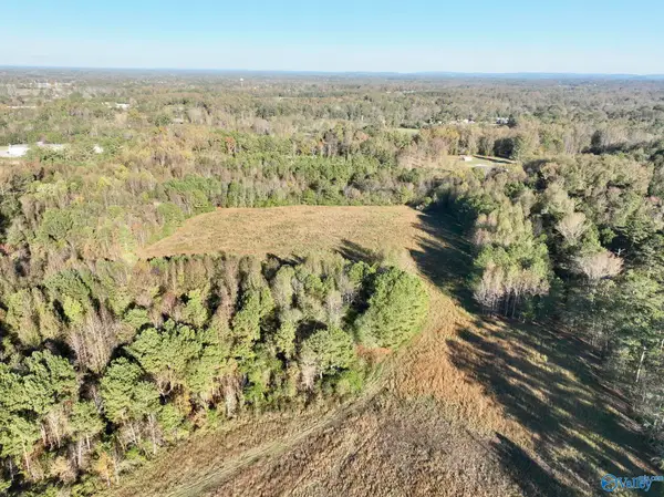 21 Acres +/- Pleasant Hill Church Road, Boaz, AL 35956