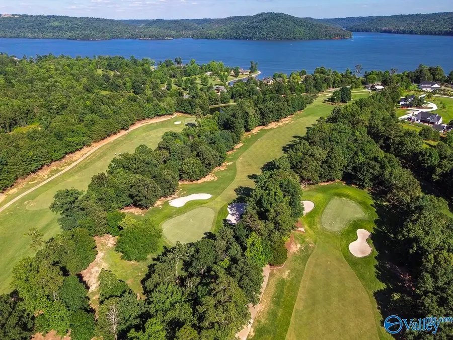 294 Whistling Straits Way, Guntersville, AL 35976 - #2