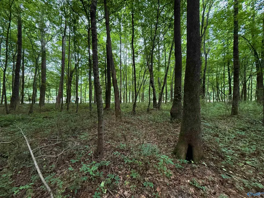 Lot 1 County Road 50, Leesburg, AL 35983 - #3