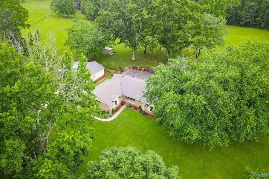 99 Brookhill Road, Somerville, AL 35670 - #2