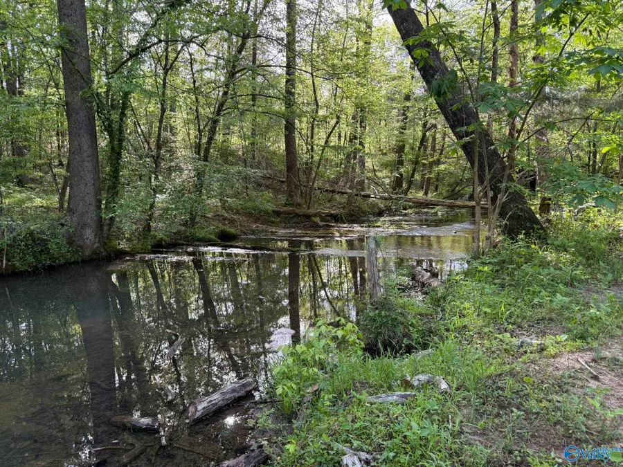 1140 County Road 797, Valley Head, AL 35989 - #2