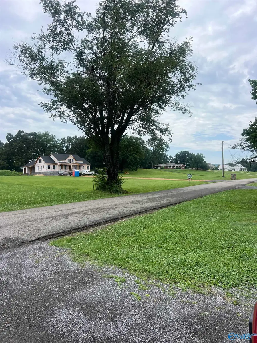 Lot 7 Browns Creek Road, Guntersville, AL 35976 - #3