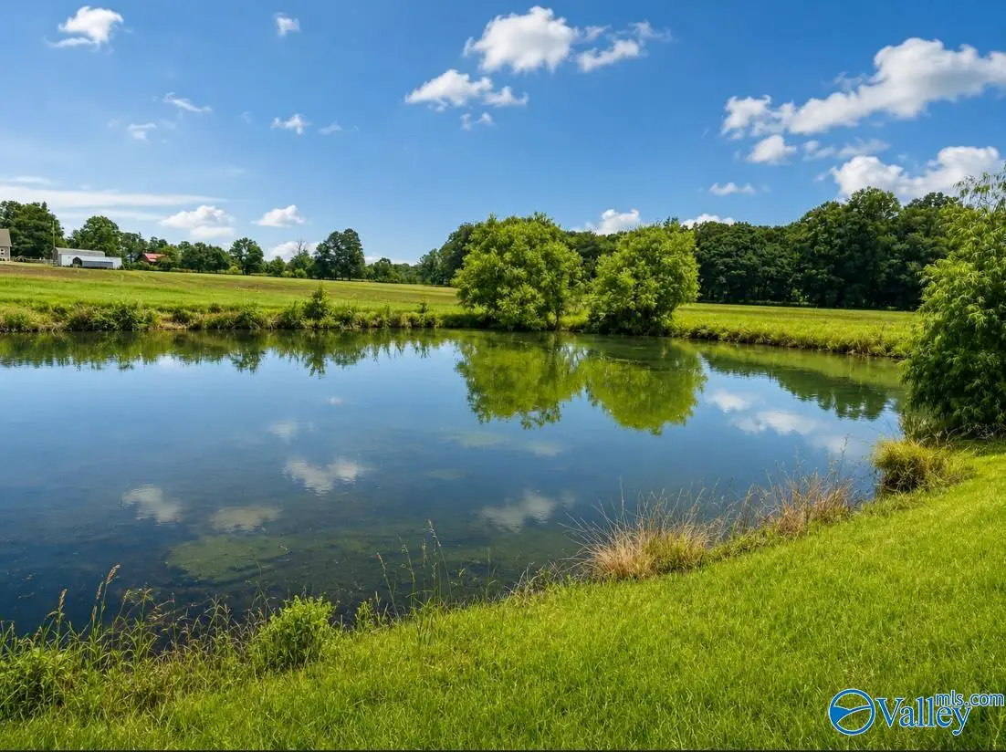 44 acres County Road 83, Centre, AL 35960 - #1