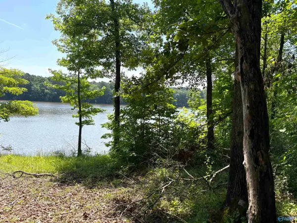 62+/- Acres County Road 628, Cedar Bluff, AL 35959