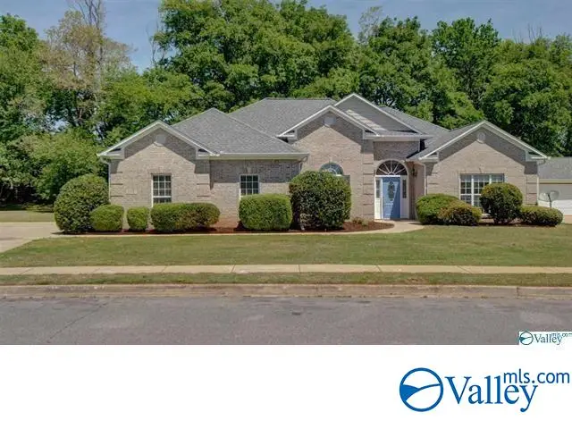 117 Brokenrein Drive, Meridianville, AL 35759 - #1