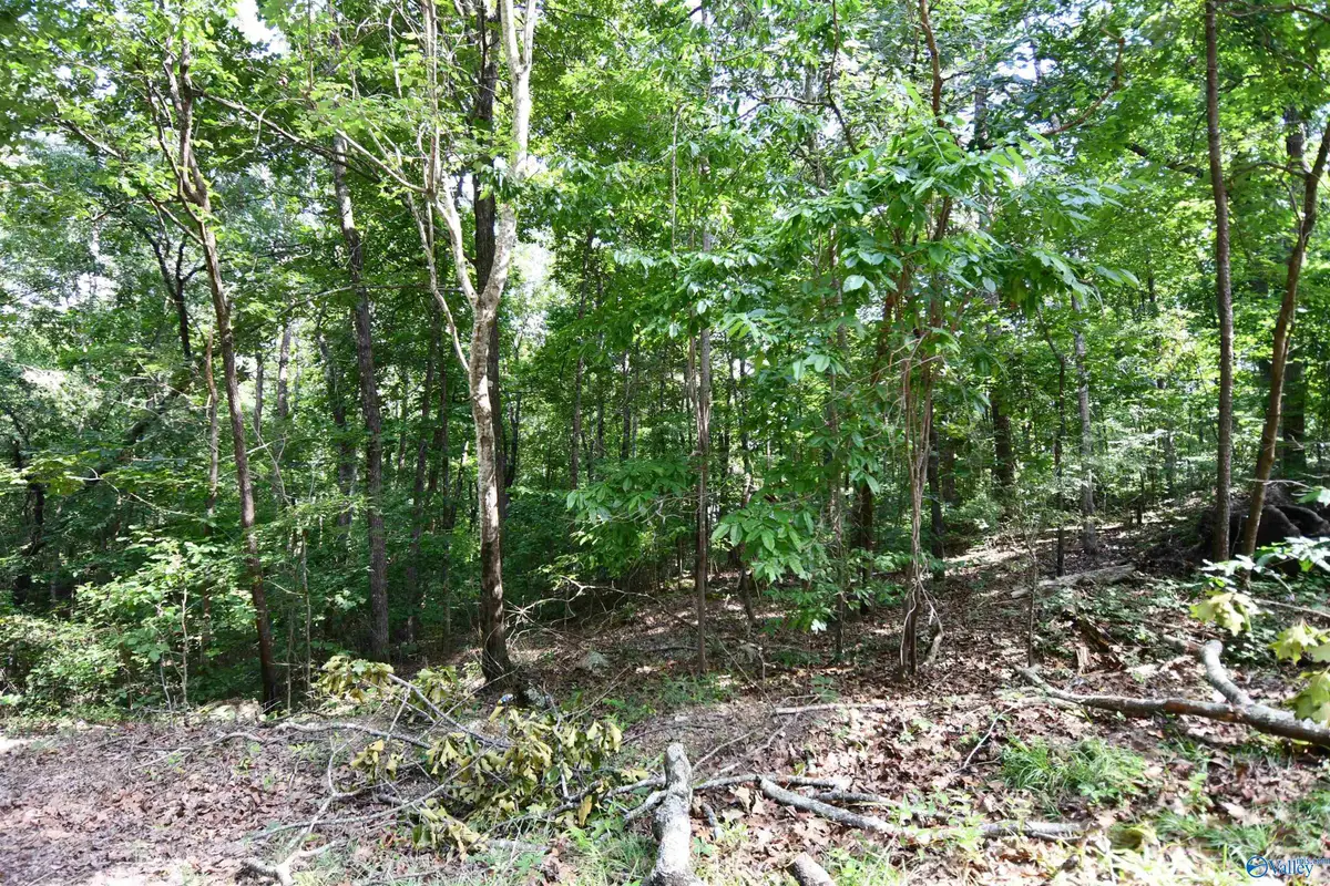 LOT 67 Prince Circle, Southside, AL 35907 - #1
