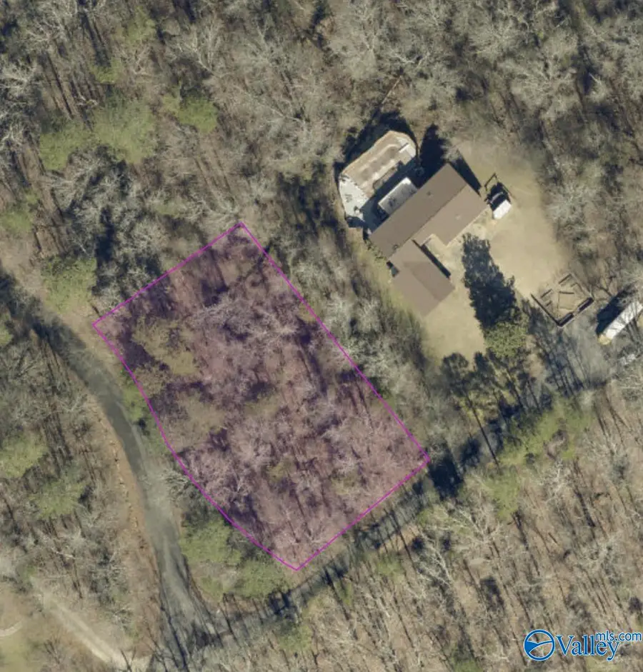53&54 Bluff View Drive, Scottsboro, AL 35769 - #2