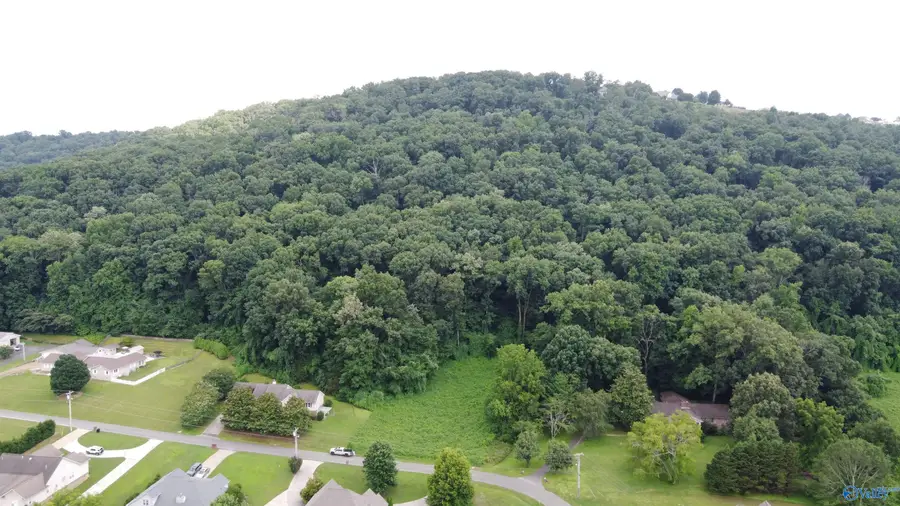 25.27 AC Sorter Road, Guntersville, AL 35976 - #2