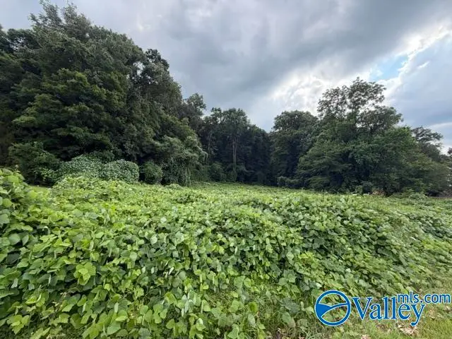 25.27 AC Sorter Road, Guntersville, AL 35976 - #3