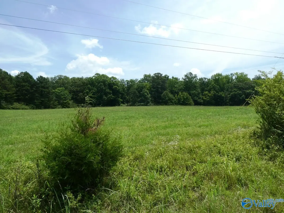9.2 Ac County Road 4006, Crane Hill, AL 35053 - #1