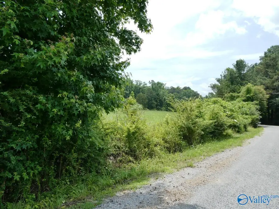 9.2 Ac County Road 4006, Crane Hill, AL 35053 - #3