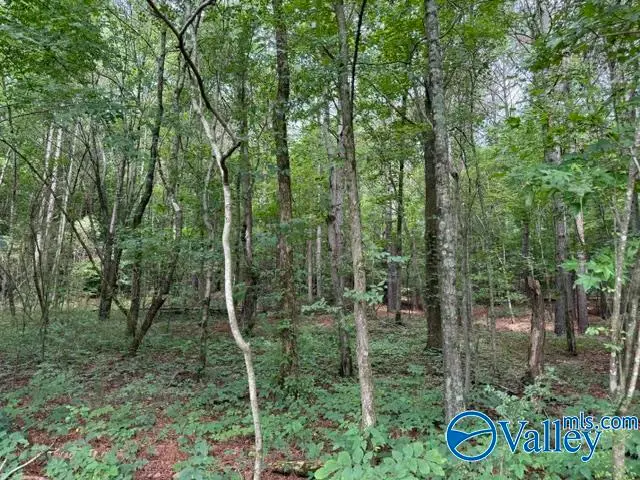 45 County Road 458, Collinsville, AL 35961 - #1