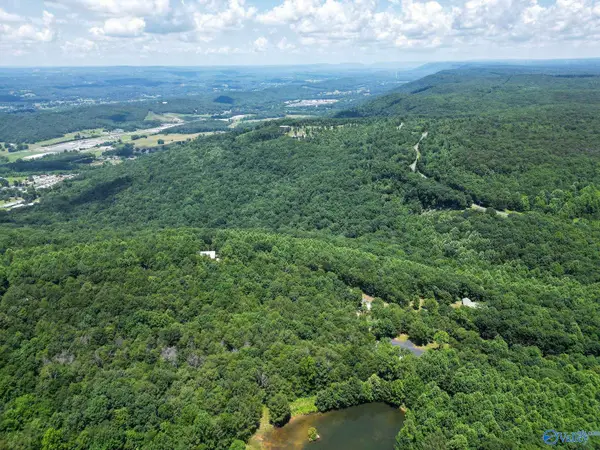 Lot 8 County Road 166 (citadel Rock Road), Fort Payne, AL 35967