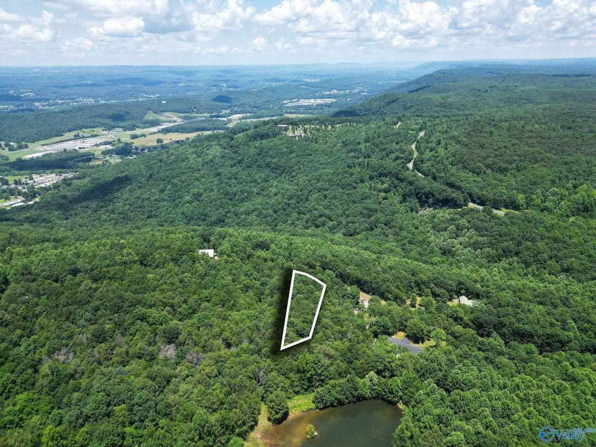 Lot 9 County Road 166 (citadel Rock Road), Fort Payne, AL 35967 - #1