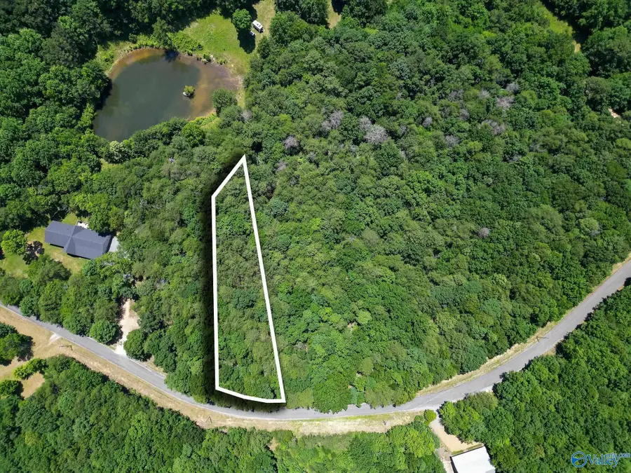 Lot 9 County Road 166 (citadel Rock Road), Fort Payne, AL 35967 - #2