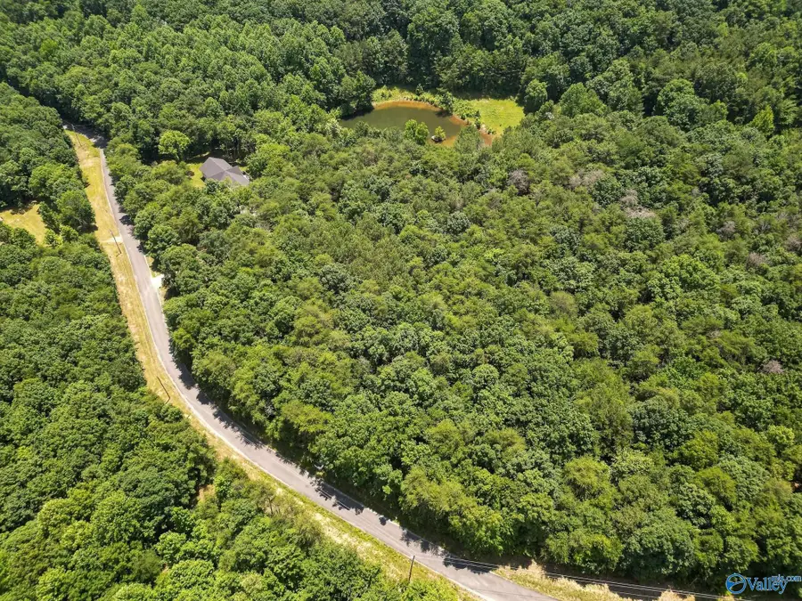 Lot 9 County Road 166 (citadel Rock Road), Fort Payne, AL 35967 - #3