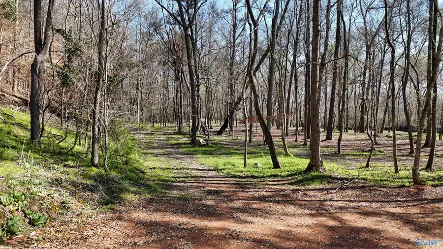 0257 County Road 175, Piedmont, AL 36272 - #2