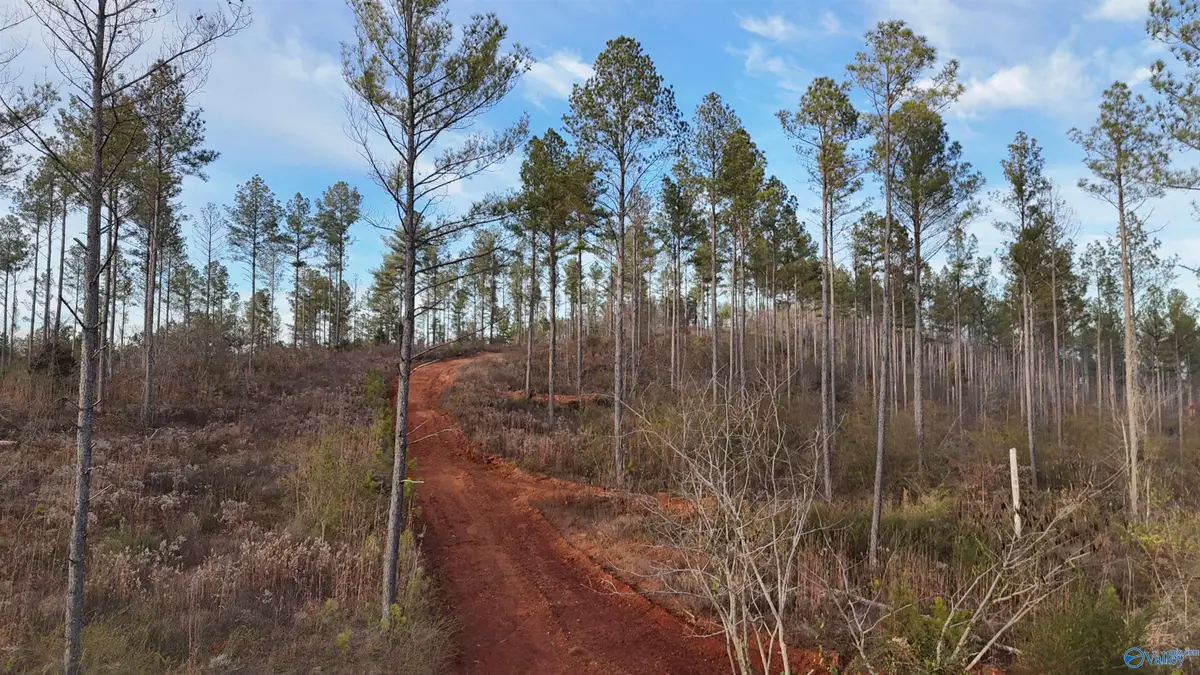 005 County Road 175, Piedmont, AL 36272 - #1