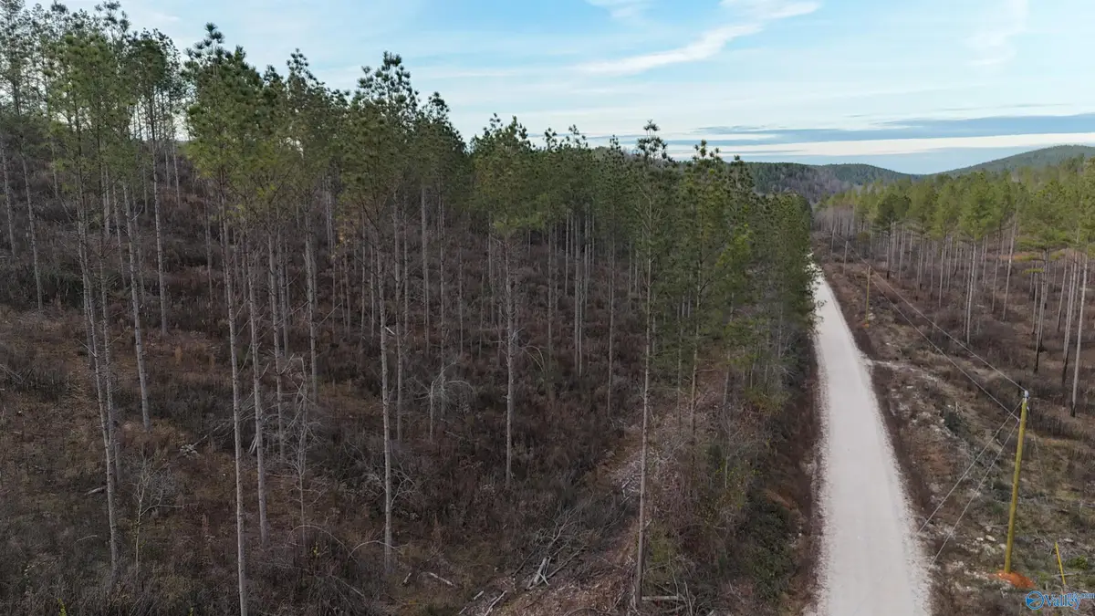 004 County Road 175, Piedmont, AL 36272 - #1