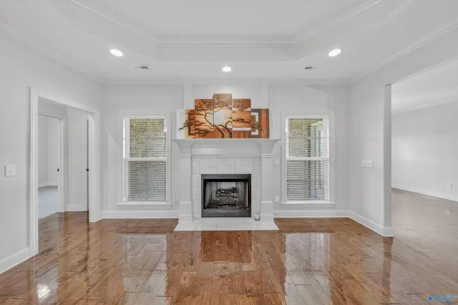 244 Cozy Creek Road, Meridianville, AL 35759 - #3