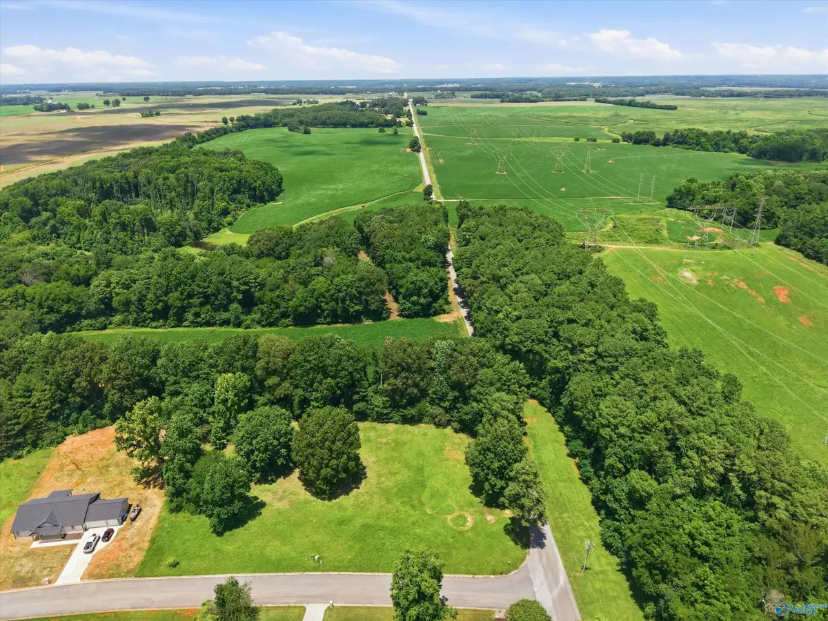 13959 Hatchie Lane Sw, Athens, AL 35611 - #1