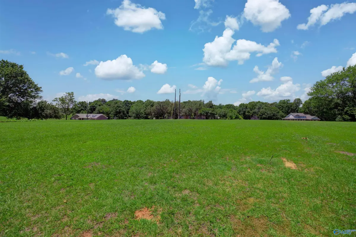 340 County Road 379, Trinity, AL 35673 - #1